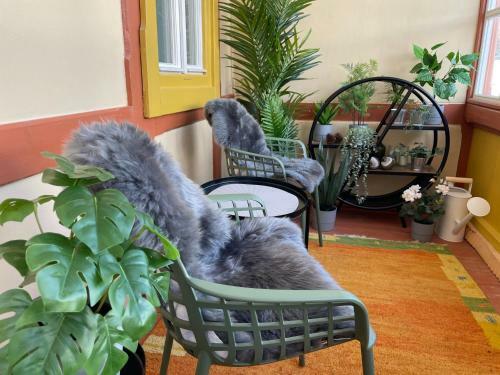 Apartm�ny Koll�r So Saunou