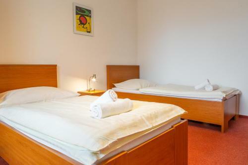 Apartm�ny Sne?ienka