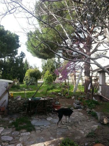 Ecer Pansiyon