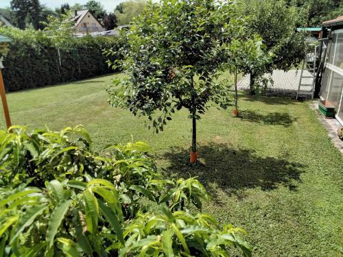 Apartamento Fewo Jehle Rust S�d