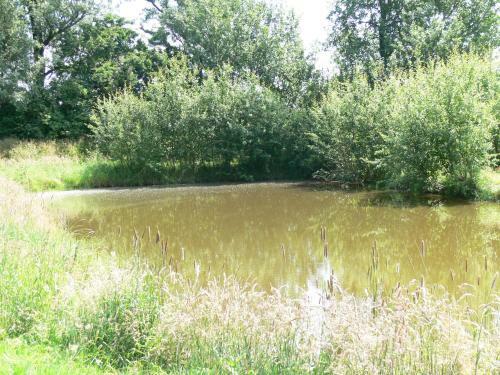 Apartamento Hof Westerbur