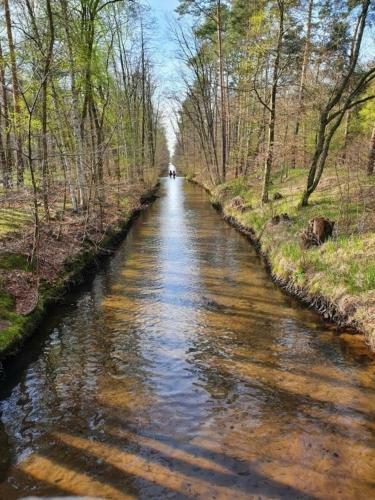 Traumhaftes Reetdachhaus Grote Eken In Der L�neburger Heide