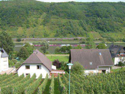Apartamento Moselblick