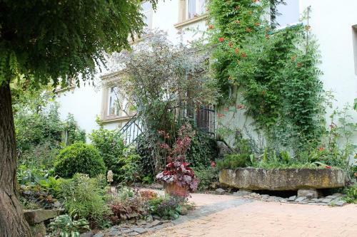 Apartamento Maison Mille Fleurs