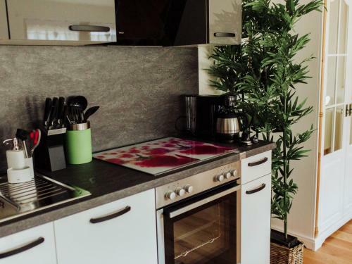 Apartamentos Finkenst�ble