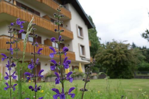 Aparthotel Hotel Pesentheinerhof