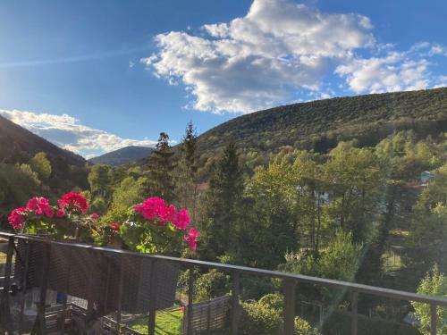 Apartamento Pf�lzer Traumblick