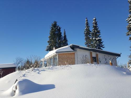 Blockhaus Kik Im Harz