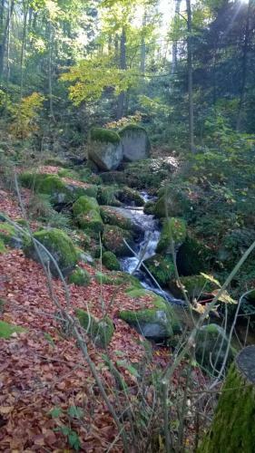 Apartamento Ferienwohnung Mit Pool In Sasbachwalden
