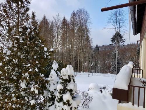 Apartamento Harzbutze 60