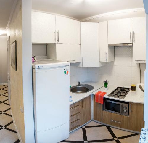 Chornovola Avenue Apartment