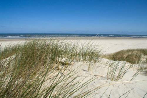 Apartamento Sonne Und Meer