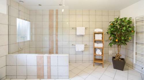 Apartamento Strandmuschel