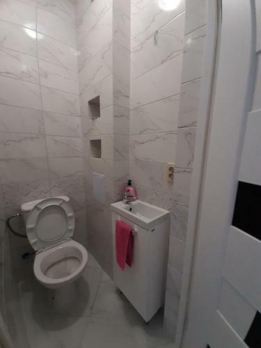 Apartment In Serbska Lviv