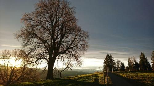 Apartamento Alpenrausch