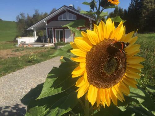 Apartamento Ferienwohnung Winterberg