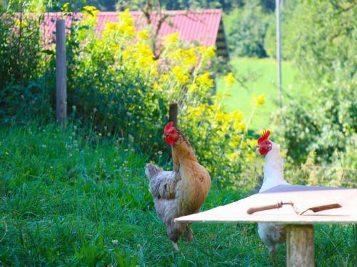 Apartamento Ferienwohnungen Berger