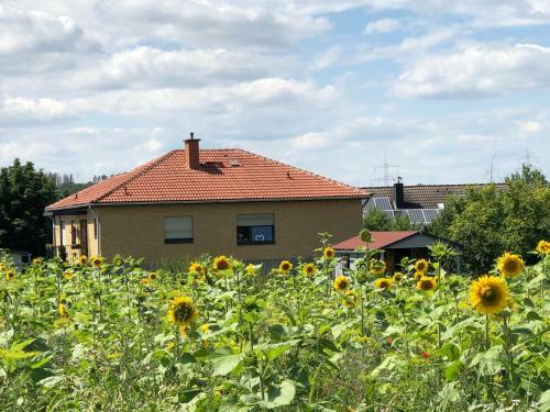 Apartamento Ferienwohnung Carpe Diem