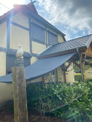 Ferienhaus Hospodarz