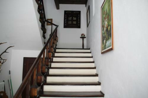 Apartamento Ferienwohnung Domitian