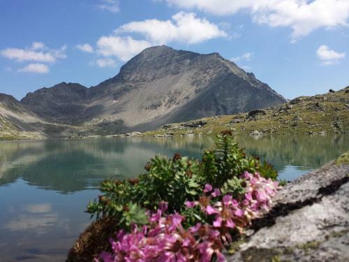 Hostal Gasthof Pension Perauer