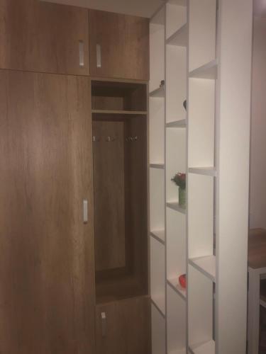 Apartment Roksolana 4