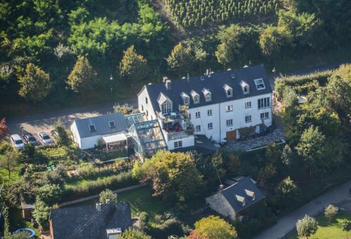 Apartamento Moseltraum Alte Schmiede