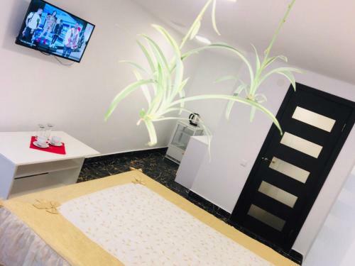 Apartamento Lemberg Relax House