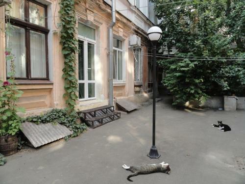 Apartamento Studio Near Soborna Square