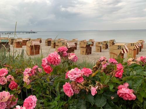 Apartamento Ferienwohnung In Scharbeutz