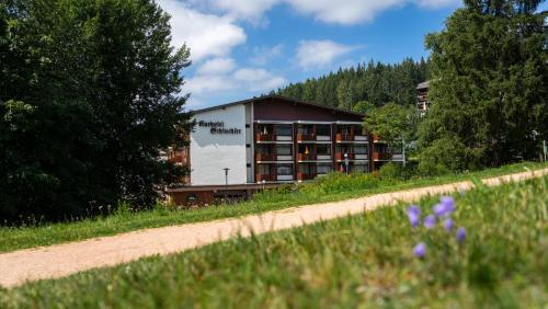Apartamento Schluchsee Ferienwohnung 1309
