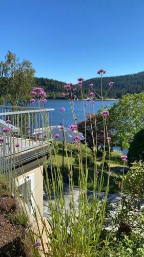 Apartamento Schluchsee, Villa Seepark