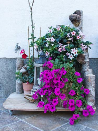 Bed & Breakfast G�stehaus Heidi