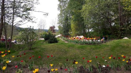 Apartamentos Marga`s Ferienwohnung