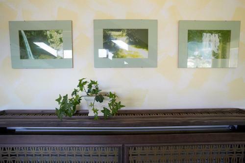 Apartamento Appartementhaus Barbara