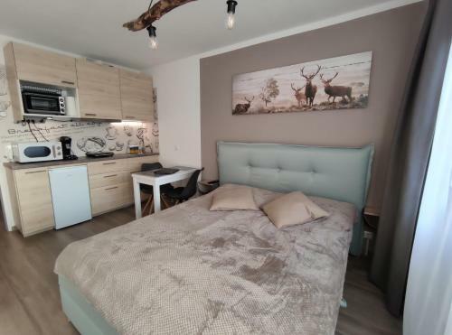 Apartamento Schluchsee Ferienwohnung 22010