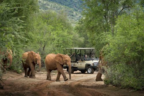 Lodge Mbazo Safaris