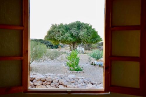 The Eco Ranch