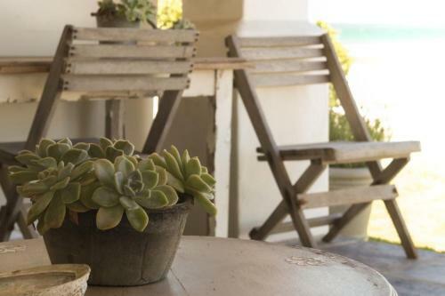 Hostal Dreamy Beach Room