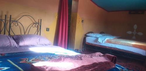 Bed & Breakfast Camp Mhamid Sahara Tours