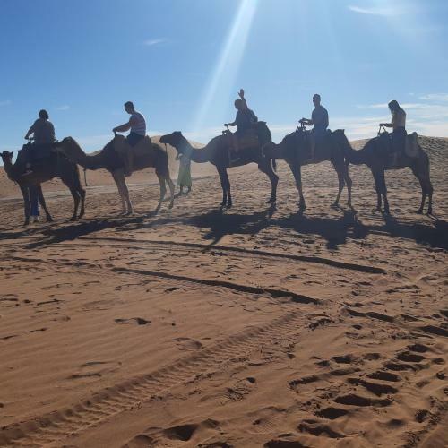 Bed & Breakfast Camp Mhamid Sahara Tours