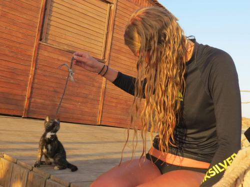 Albergue Ocean Surf House