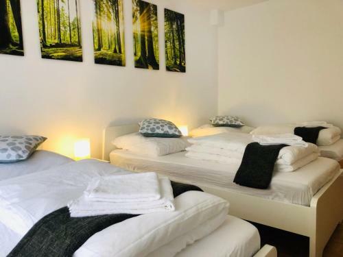 Apartamento Fewo "specht" & "reh"