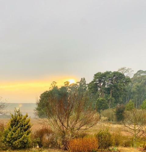 Fairfax Farmhouse