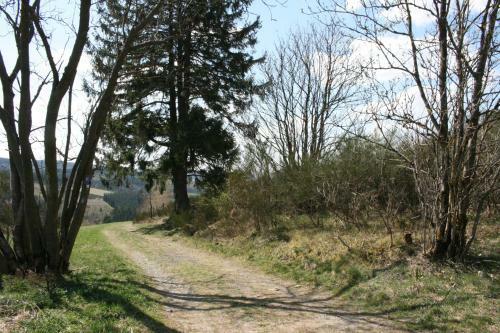 Ferienhaus Zur Ennest