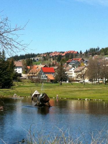 Apartamento Schonachblick
