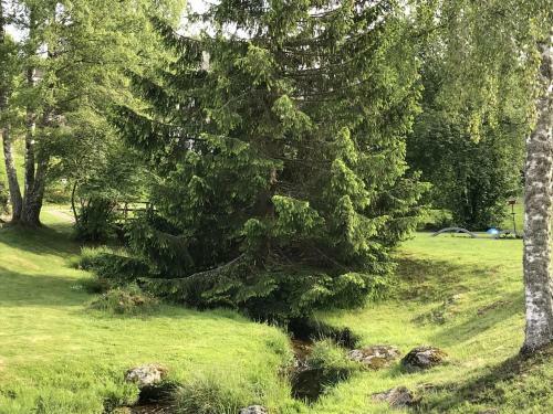 Apartamento Ferienwohnung Auszeit
