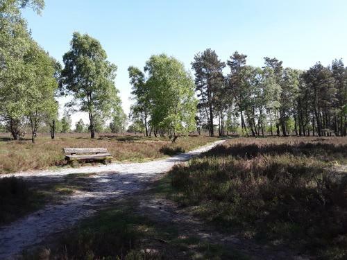 Apartamento Ferienwohnung Osterheide