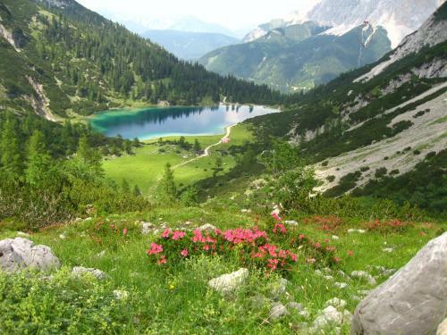Apart Panoramablick