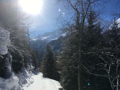 Hostal Haus Alpina